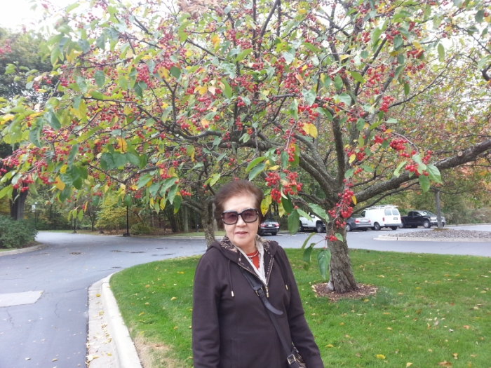 20121010_141256 [800x600].jpg